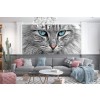 The Grey Cat Pets Vets Animals Wallpaper Wall Mural