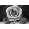 Black & White Rose Flower Wallpaper Wall Mural