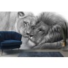 Lion Couple Wall Mural by Danguole