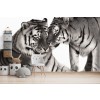 Tiger Nuzzle Wall Mural by Danguole