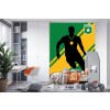 Footballer on Green Wall Mural by Bo Lundberg