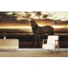Island Horse Wall Mural by Andreas Stridsberg