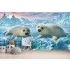 Seal Pups Wall Mural by Adrian Chesterman