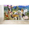 Mountain Llamas II Wall Mural by Adrian Chesterman