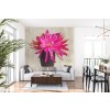 Cactus Vintage Flowers II Wall Mural by Steffen Gierok