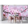 Cherry Blossom IV Wall Mural by Steffen Gierok