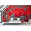 Mohn II Wall Mural by Steffen Gierok