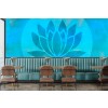 Zen Lotus Wall Mural by Andrea Haase