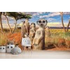 Meerkat Family Wall Mural by David Penfound