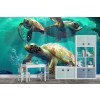 Sea Turtles Wall Mural by David Penfound