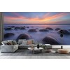 Sunset at Bowling Ball Beach Wall Mural by April Xie