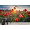 Poppy Field II Wall Mural by Steffen Gierok