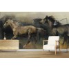 Horses Roaming the West Wall Mural by Marilyn Hageman