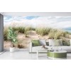 Beach Dunes Wall Mural by Cindy Taylor