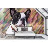 Frenchy Wall Mural by Jo Thompson