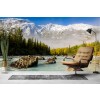 Chugach Mountains Eagle River Valley Wall Mural by Design Pics - Danita Delimont