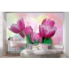 Pastel Pink Blooming Tulips Wall Mural by Deborah Sandidge - Danita Delimont