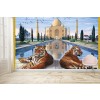 Taj Mahal Tigers Wall Mural by Steve Crisp