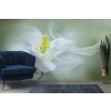 Mystical Wall Mural by Jacky Parker