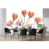 Apricot Tulips Wall Mural by Mandy Disher