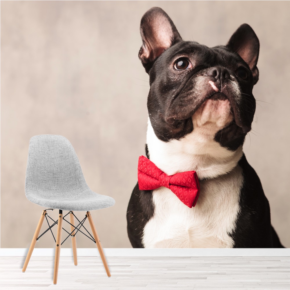 Französischer Bulldog Hund Fototapete Lustige Tiere Tapete Schlafzimmer
