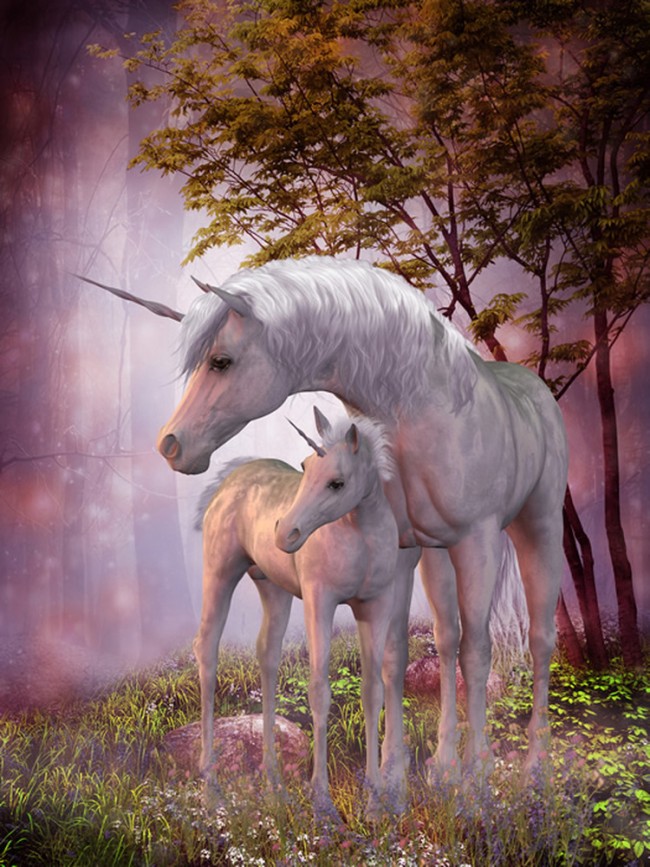 Magisches Einhorn Fohlen Fototapete Phantasie Tapete Madchen Schlafzimmer Foto Dekor
