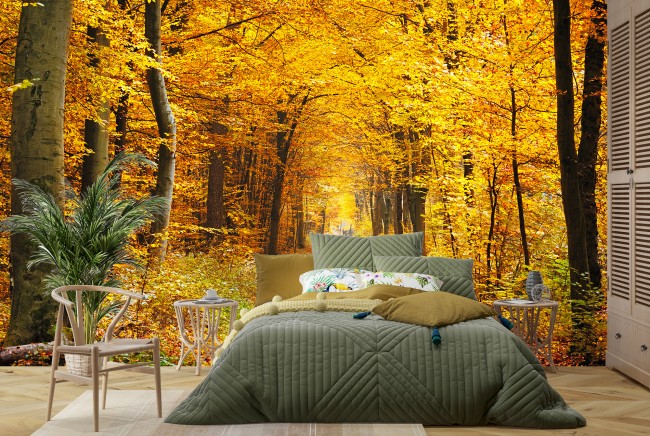 Herbst Gelbe Baume Fototapete Waldweg Tapete Wohnzimmer Foto Dekor