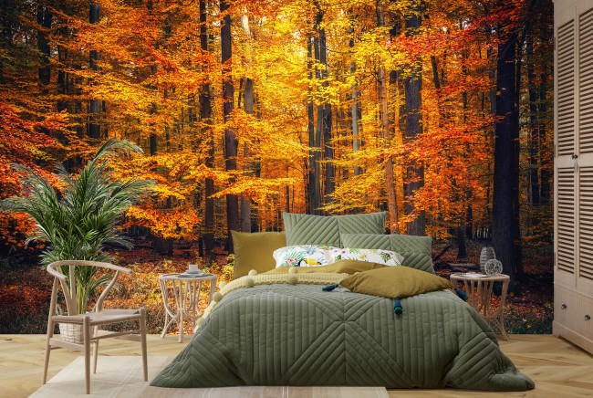 Herbstbaume Fototapete Orange Roter Wald Tapete Wohnzimmer Foto Inneneinrichtungen