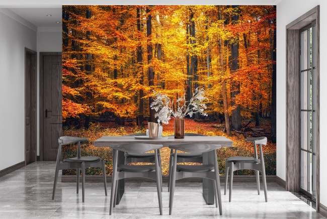 Herbstbaume Fototapete Orange Roter Wald Tapete Wohnzimmer Foto Inneneinrichtungen