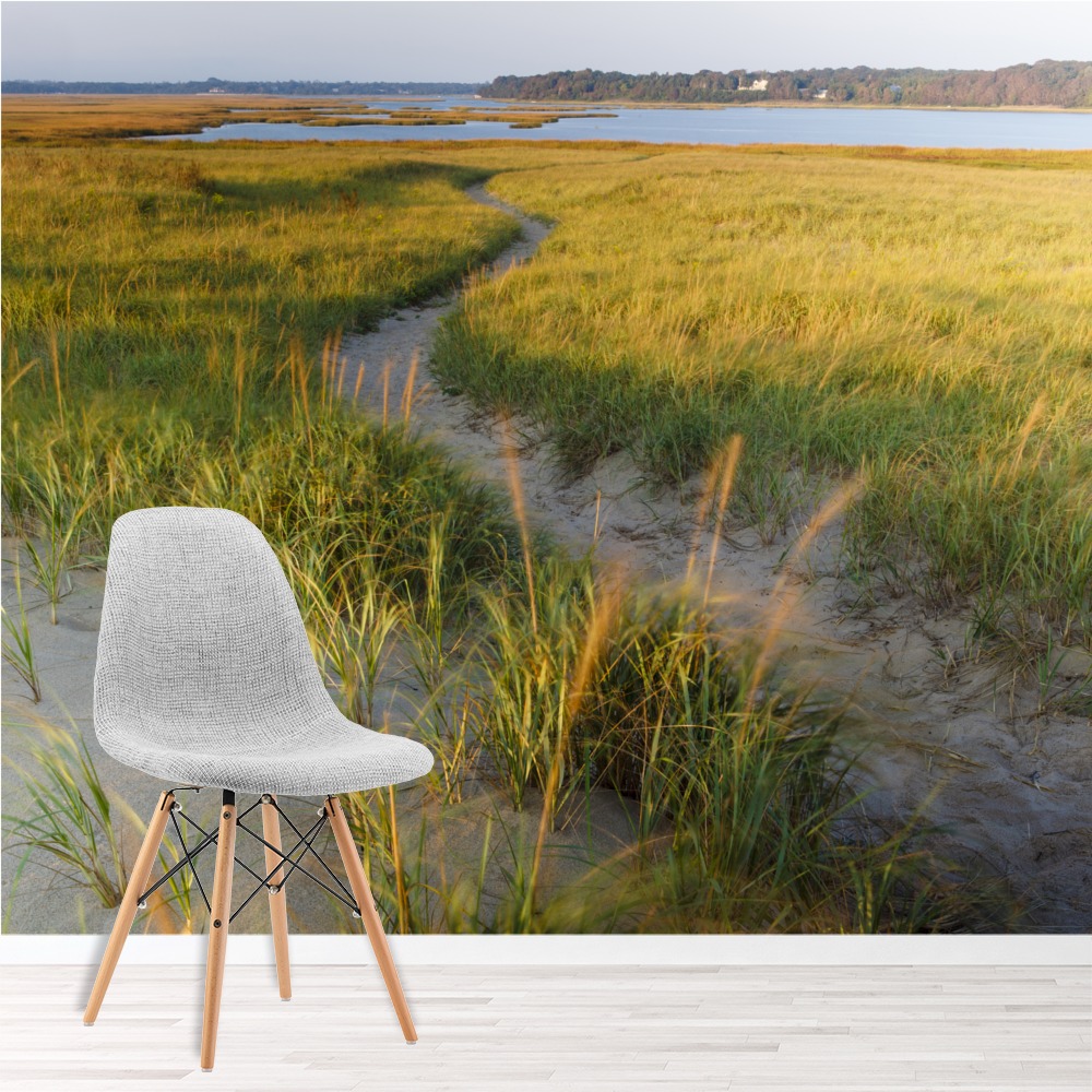 Sandy Path & Dune Grass Wall Mural by Jerry & Marcy Monkman Danita