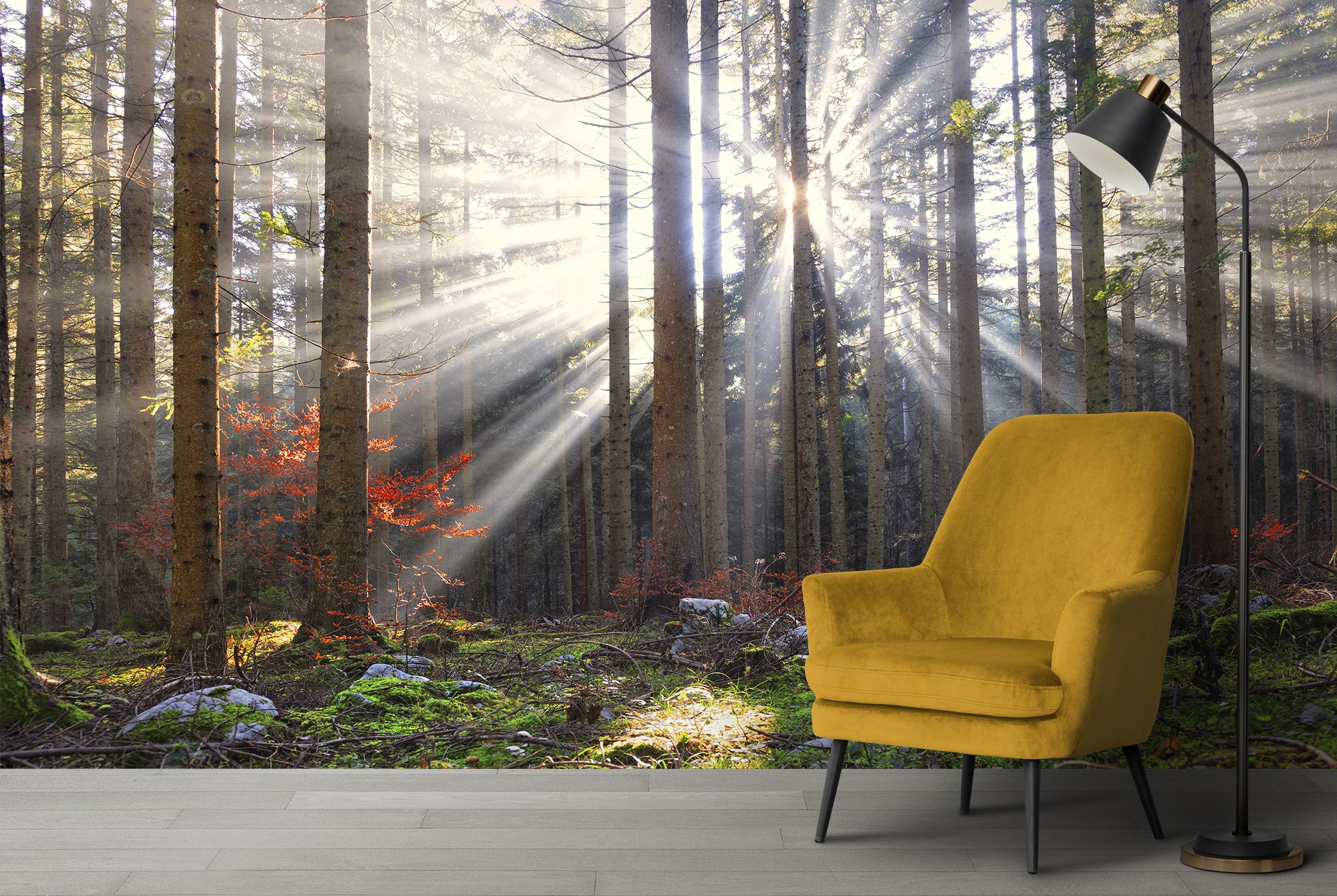 Sun Shine Herbst Baume Fototapete Wald Tapete Landschaft Foto Inneneinrichtungen