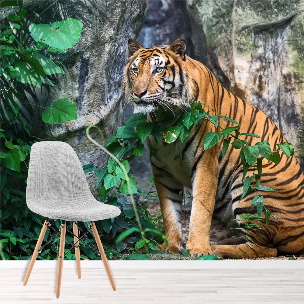 Jungle Tiger Wallpaper Wall Mural