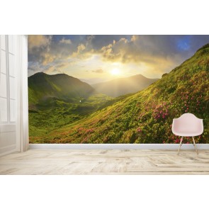 Spring Meadow Mountain Landscape Wallpaper Wall Mural