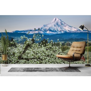 Hood River Barn Wall Mural by Don Schwartz