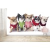Chihuahua Welpen Hunde Fototapete Süße Tiere Tapete Mädchenzimmer Foto-Dekor