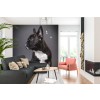 Französischer Bulldog Hund Fototapete Nettes Tier Tapete Schlafzimmer Foto Inneneinrichtungen