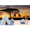 Giraffen-Sonnenuntergang Fototapete Afrikanisches Tier Tapete Schlafzimmer Foto Inneneinrichtungen