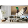 Ente Fototapete Vögel Tiere Natur Tapete Badezimmer Schlafzimmer Foto Inneneinrichtungen