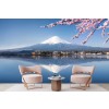 Mt Fuji Japan Fototapete Kirschblüte Tapete Berglandschaft Foto-Dekor