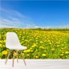 Gelbe Löwenzahn Blumen Fototapete Blauer Himmel Tapete Wohnzimmer Foto-Dekor