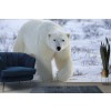 Eisbär Fototapete Weiße Winterlandschaft Tapete Kinder Foto Inneneinrichtungen