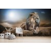 Majestätischer Löwe Fototapete Safari Tier Tapete Kinderzimmer Foto Inneneinrichtungen