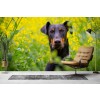 Dobermann Hund Fototapete Blume Tapete Schlafzimmer Wohnzimmer Foto Inneneinrichtungen