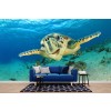 Sea Turtle Wallpaper Wall Mural