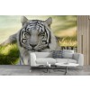 White Tiger Wallpaper Wall Mural