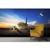 Airplane Sunset Aeroplane Blue Sky Wallpaper Wall Mural