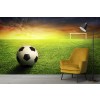 Football Field Wallpaper Wall Mural