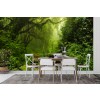 Amazon Jungle Green Trees Wallpaper Wall Mural