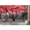 Red Flower Trees Wallpaper Wall Mural