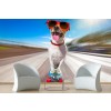 Skater Dog Wallpaper Wall Mural